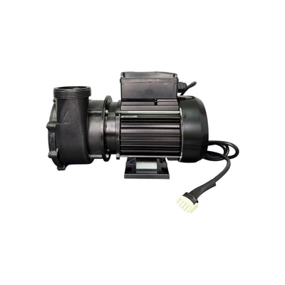 DXD320E 2HP Spa Pump